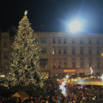 Deset let s olomouckými vánočními stromy