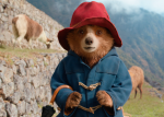 Medvídek Paddington se vydal do džungle