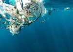 Mořské houby, které jedí plast? Havajští vědci našli nové řešení v boji se znečištěním oceánů