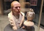 Archeoskanzen na Uherskohradišťsku otevírá dvě nové výstavy. K vidění jsou unikátní nálezy z 8