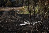 Chrání ,energy med’ a bojují proti ,kybervčelám’. Rusko má skrze videohry verbovat děti k vývoji dronů