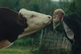 Klasický vypravěč mi přišel málo šílený, říká režisér Remo. Film Raději zešílet v divočině vypráví kráva