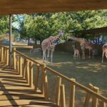 Pavilon žiraf a zeber v liberecké zoo čeká rekonstrukce