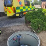 VIDEO: Prokázaly možná větší odvahu, než mnoho dospělých