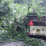 Padající strom zasáhl vláček s návštěvníky Moravského krasu