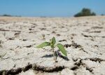 Roste počet dnů s teplotou, která je pro člověka nepříjemná až nebezpečná, varuje klimatolog Trnka