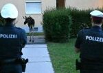 Los Emil narušil v rakouském St. Pöltenu provoz na železnici