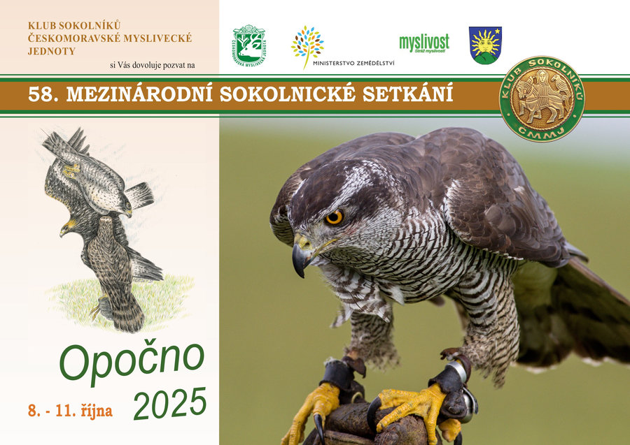 Opočno ožije sokolnickým setkáním: Tradice, příroda a umění lovu