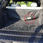 VIDEO: Neuvěříte, kde policisté zadrželi recidivistu, na kterého byl vydán Evropský zatykač!