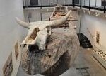 Archeopark ve Všestarech má novou pravěkou expozici