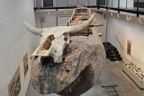 Archeopark ve Všestarech má novou pravěkou expozici. Lidé se mohou díky hrám vrátit tisíce let zpět