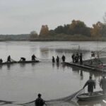 Na Pardubicku brzy začne tradiční výlov Bohdanečského rybníka
