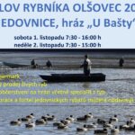 Tradiční výlov rybníka Olšovce proběhne 1. až 2