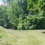 Zasaďte si svůj strom: Prostějov zve na podzimní komunitní sázení