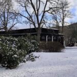 FOTO: Lázeňský park v Karlově Studánce obohatí nové vzrostlé stromy a další dřeviny