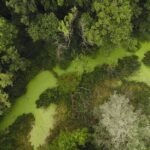 Přírodní rezervace Stibůrkovská jezera patří ke klenotům CHKO Soutok