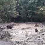 V třineckém lesoparku vzniknou tůně