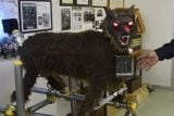Jen levná hračka, smáli se lidé. ‚Monster Wolf‘ ale funguje, tvrdí Japonci a vyvíjejí verzi pro turisty