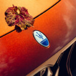 Stellantis dál přichází k rozumu