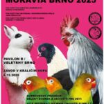 Už jen den zbývá do zahájení výstavy MORAVIA Brno 2025