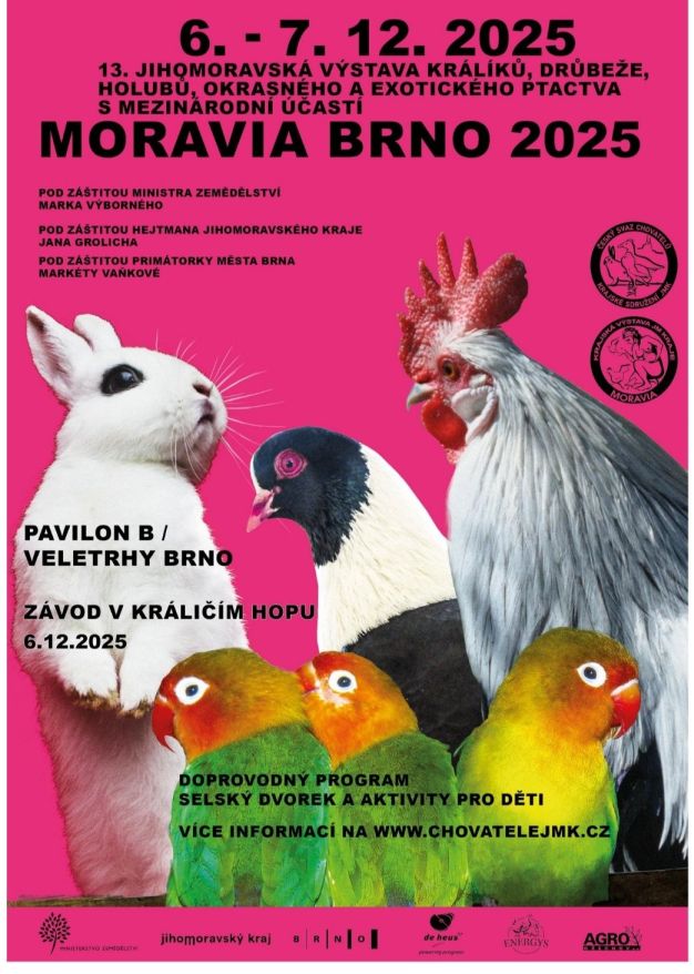 Už jen den zbývá do zahájení výstavy MORAVIA Brno 2025