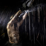 Snímek roku vznikl v černouhelném dolu