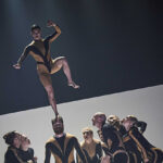 Svět si podmanili psi, buď vlkem! Letní Letnou obklíčí temperamentní smečka