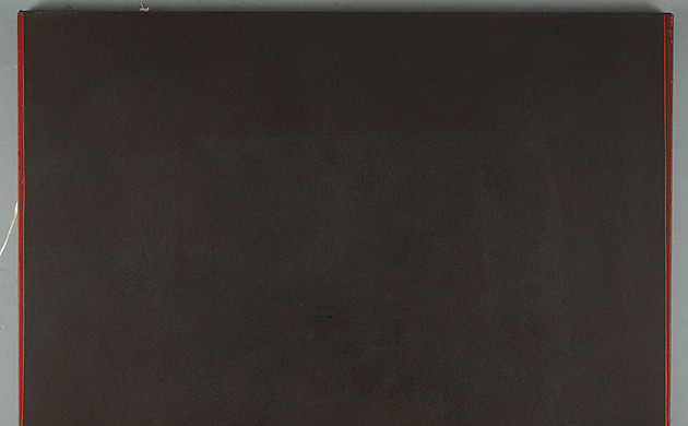 V Británii draží bizarní obraz za 168 tisíc korun. Vypadá jako karton