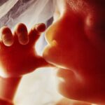 Policisté zřejmě zadrželi lékaře, za kterým jezdily polské ženy na potrat