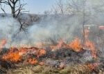 Spálená plocha není zničená, příroda si ji vezme zpátky, říká o řízeném vypalování správce NP Podyjí