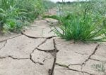 Vědec o zprávě o klimatu: Systém se chová čím dál agresivněji, sucha i povodně jsou intenzivnější