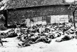 3. Lidice jako důkaz nacistické brutality. Výpovědi žen zazněly i u procesu s K. H. Frankem