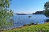 Plumlovská přehrada plná sinic. Na vině je klimatická změna i chybějící čističky vod, míní odborník