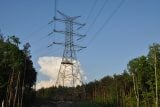 Šetrnější k přírodě, bezpečnější pro zvířata. Elektrické stožáry nahradí v Novohradských horách kabely