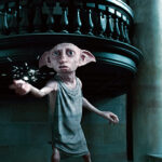 Dobby může v klidu spát