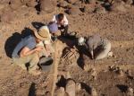 Archeologové objevili poblíž Káhiry hrobku dvou úředníků, podle odhadů je 4300 let stará