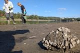Ochránci přírody hledají dobrovolníky pro sběr škeblí na Slapech. Kvůli nízké hladině umírají na březích
