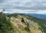 Krkonošská tundra pomalu mizí